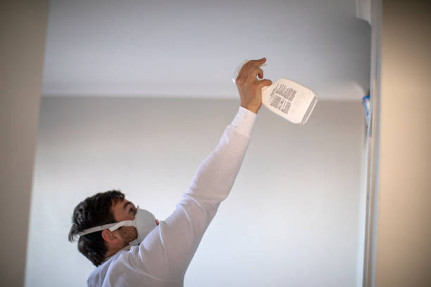Locust Valley, NY Mold Remediation Company